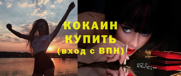 индика Армянск