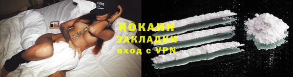 сатива Арсеньев