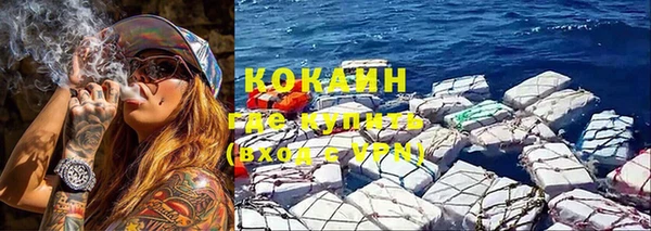 мяу мяу мука Аркадак