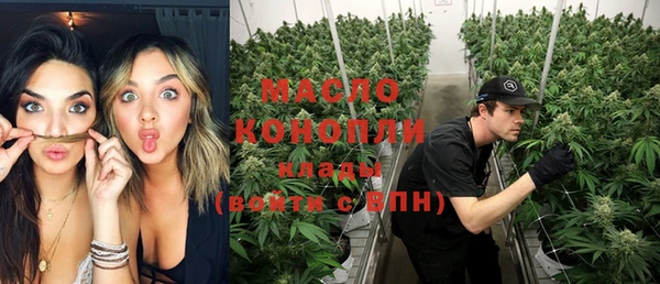 индика Армянск