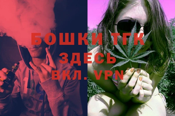индика Армянск