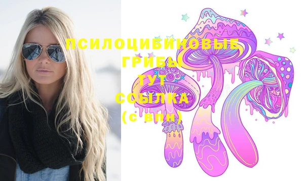 индика Армянск