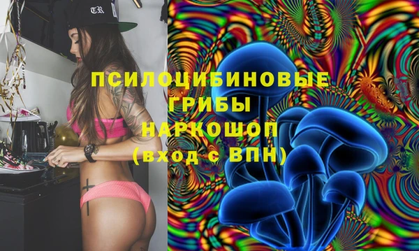 индика Армянск