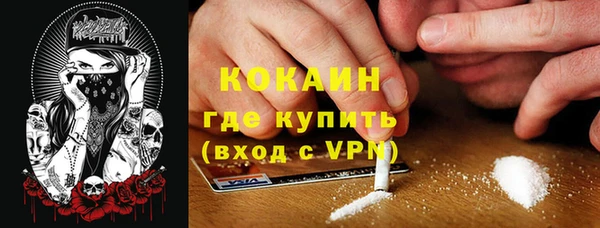 сатива Арсеньев