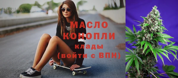 индика Армянск