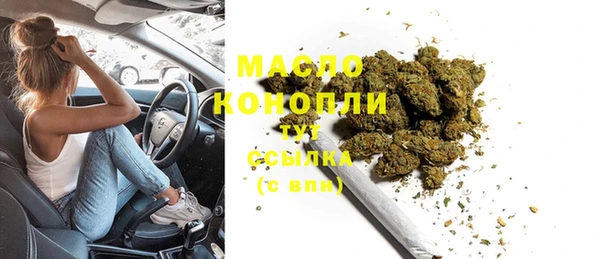 индика Армянск