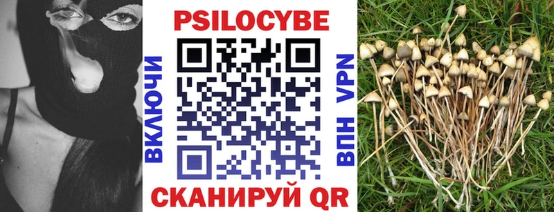 это как зайти  Балашиха  Псилоцибиновые грибы мицелий 